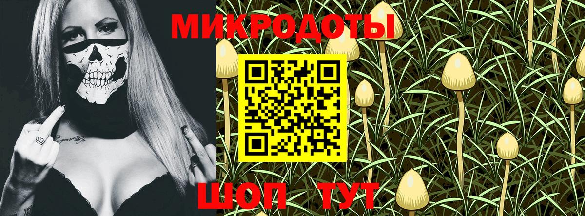Галлюциногенные грибы GOLDEN TEACHER  Псилоцибиновые грибы мицелий  Вход с VPN  Красногорск 